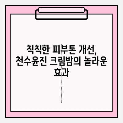 천수윤진 크림밤으로 속부터 탄탄하게 피부 관리하는 방법 | 탄력, 보습, 영양, 리뷰