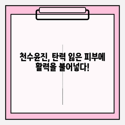 천수윤진 가격으로 탄력 있는 피부를 되찾는 비법 | 천수윤진, 피부 탄력, 가격, 효과, 후기