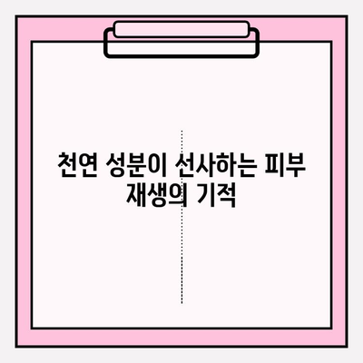 천수윤진, 생명력을 담은 화장품| 피부 본연의 아름다움을 되찾는 솔루션 | 천수윤진 화장품, 천연 성분, 피부 재생, 안티에이징