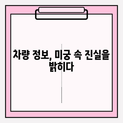 타이어 흡연, 마약, 살인 사건| 차적 조회를 통한 범죄 추적 | 범죄 수사, 차량 정보, 증거 확보