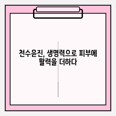 천수윤진, 생명력을 담은 화장품의 비밀 | 피부 활력, 천연 성분, 안티에이징, 화장품 추천