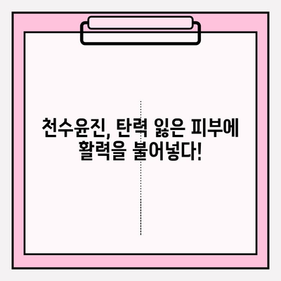 천수윤진으로 탄력 넘치는 피부, 이렇게 만들 수 있다! | 천수윤진, 탄력, 피부 관리, 화장품, 리뷰