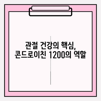 콘드로이친 1200| 관절 건강을 위한 필수 성분 | 관절 기능 향상, 효능, 복용 방법, 주의 사항