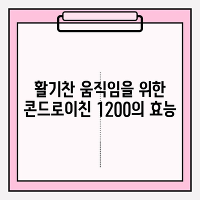 콘드로이친 1200| 관절 건강을 위한 필수 성분 | 관절 기능 향상, 효능, 복용 방법, 주의 사항