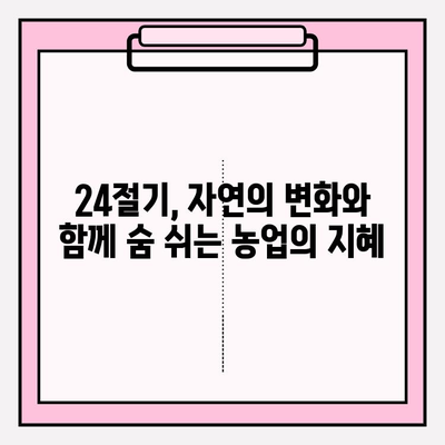 24절기의 기원과 의미| 농경문화 속 시간의 지혜를 만나다 | 24절기, 농업, 천문학, 전통, 계절