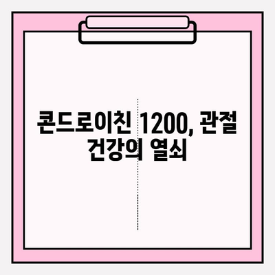 관절 건강의 지름길, 콘드로이친 1200의 효능과 선택 가이드 | 관절, 연골, 건강, 섭취, 추천