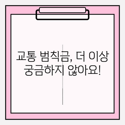 교통 범칙금, 즉시 확인! 간편 조회 방법 | 5분 안에 완료