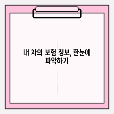 차량 번호판으로 차량 보험 이력 확인하는 방법 | 보험 정보, 조회, 안전 운전