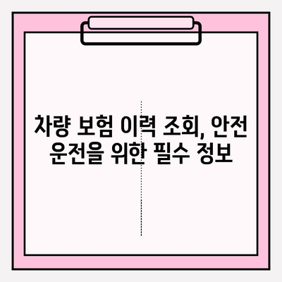 차량 번호판으로 차량 보험 이력 확인하는 방법 | 보험 정보, 조회, 안전 운전