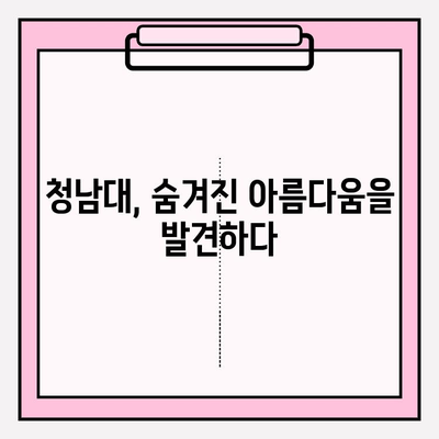 청남대 홈페이지에서 찾아보세요! | 충청북도, 대통령 별장, 관광 명소, 가볼 만한 곳