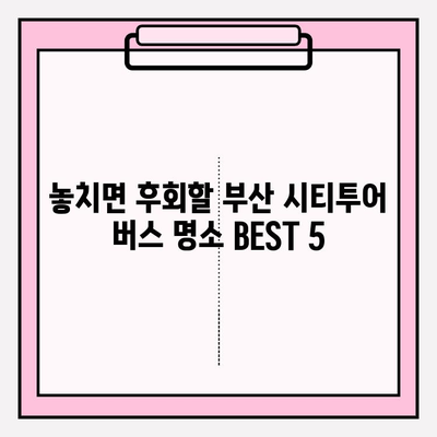 부산 시티투어 버스 완벽 탑승 가이드| 코스 추천 & 꿀팁 | 부산 여행, 시티투어, 버스, 관광