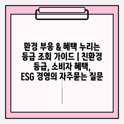 환경 부응 & 혜택 누리는 등급 조회 가이드 | 친환경 등급, 소비자 혜택,  ESG 경영