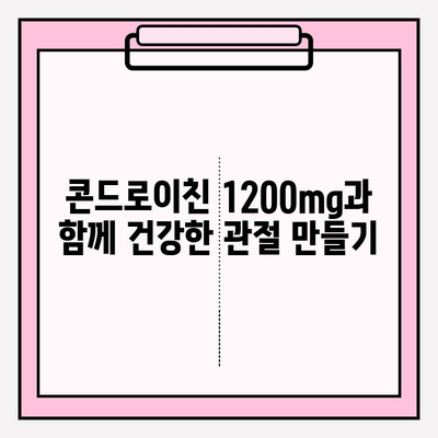 콘드로이친 1200mg 영양제, 식생활에 효과적으로 녹이는 5가지 팁 | 건강, 관절, 영양제, 섭취법