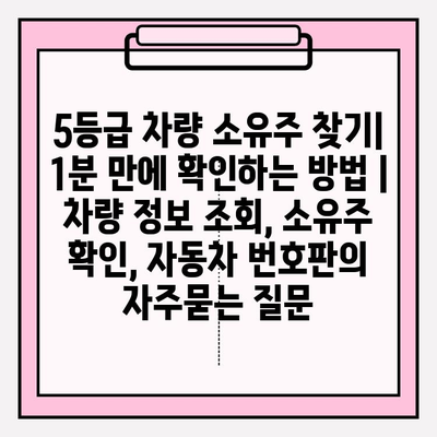 5등급 차량 소유주 찾기| 1분 만에 확인하는 방법 | 차량 정보 조회, 소유주 확인, 자동차 번호판