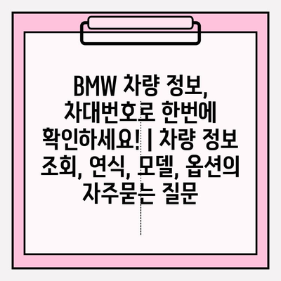 BMW 차량 정보, 차대번호로 한번에 확인하세요! | 차량 정보 조회, 연식, 모델, 옵션