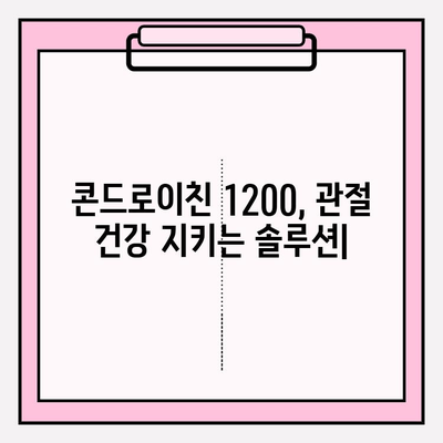 콘드로이친 1200, 관절 건강 지키는 솔루션| 통증 완화 & 유연성 향상 | 연골 관리, 건강 정보