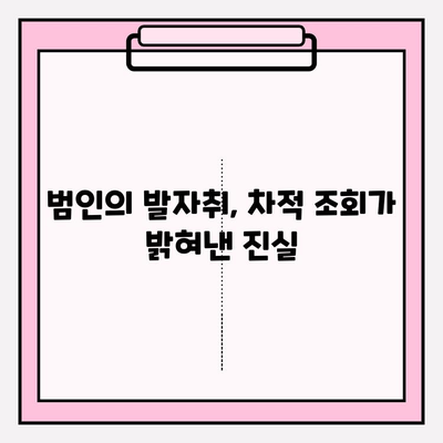 소유자 차적 조회를 활용한 수사 성공 사례| 범죄 해결의 실마리를 찾다 | 차적 조회, 수사, 범죄 해결, 증거 확보