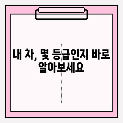 5등급 차량 소유자 조회| 1분 만에 확인하는 간편 가이드 | 차량 등급 확인, 소유자 정보 조회, 자동차 정보
