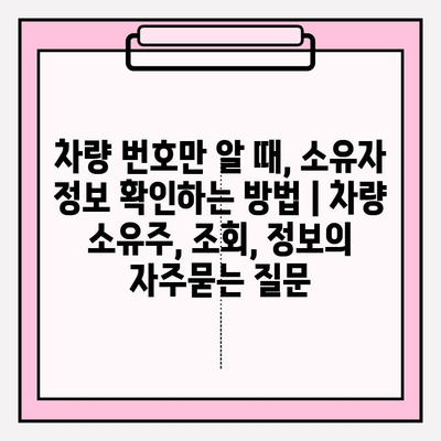 차량 번호만 알 때, 소유자 정보 확인하는 방법 | 차량 소유주, 조회, 정보