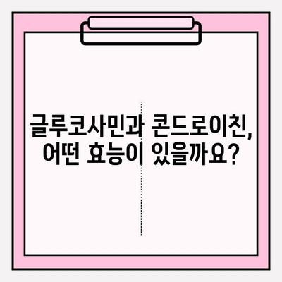 관절 건강을 위한 선택, 글루코사민과 콘드로이친 영양제| 효능과 주의사항 | 관절 건강, 영양제, 건강 정보