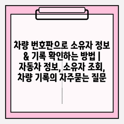 차량 번호판으로 소유자 정보 & 기록 확인하는 방법 | 자동차 정보, 소유자 조회, 차량 기록