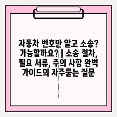 자동차 번호만 알고 소송? 가능할까요? | 소송 절차, 필요 서류, 주의 사항 완벽 가이드