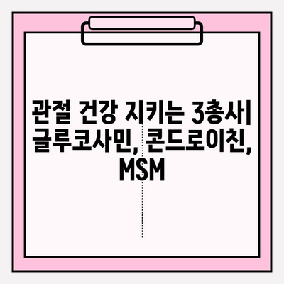 관절 건강 위한 선택! 글루코사민, 콘드로이친, MSM 관절 영양제 비교분석 및 추천 | 관절 통증 완화, 연골 건강, 효과적인 제품