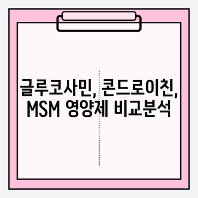 관절 건강 위한 선택! 글루코사민, 콘드로이친, MSM 관절 영양제 비교분석 및 추천 | 관절 통증 완화, 연골 건강, 효과적인 제품