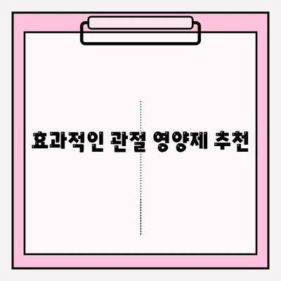 관절 건강 위한 선택! 글루코사민, 콘드로이친, MSM 관절 영양제 비교분석 및 추천 | 관절 통증 완화, 연골 건강, 효과적인 제품