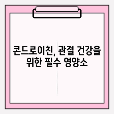 콘드로이친| 관절 건강의 지킴이, 효능과 섭취 가이드 | 관절 건강, 연골 건강, 영양소, 건강 정보