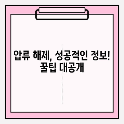 자동차 압류 여부, 간편하게 조회하고 해제하세요! | 자동차 압류, 조회 방법, 해제 절차, 압류 해제 정보