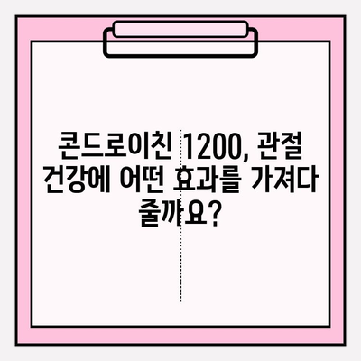 콘드로이친 1200, 관절 건강의 마법? 효과와 주의사항 완벽 가이드 | 관절 영양, 건강 기능성, 건강 정보