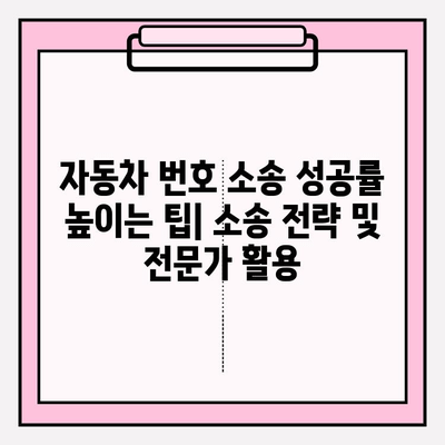 자동차 번호로 소송 제기, 소유자 정보 파악부터 절차까지 완벽 가이드 | 소송, 법률 정보, 소송 절차