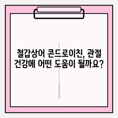 철갑상어 콘드로이친의 인기 비결| 관절 건강 보조 효능 | 효능, 부작용, 추천 제품, 구매 가이드