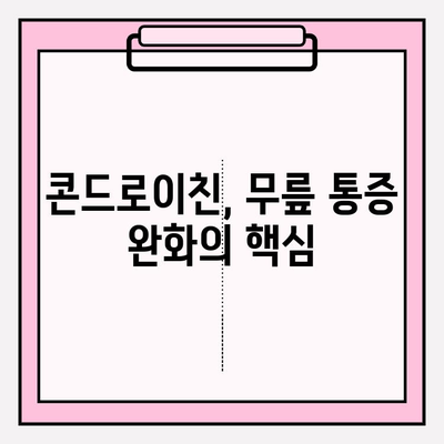 무릎 통증, 콘드로이친으로 이겨내세요! | 무릎 통증 극복, 효과적인 콘드로이친 과정, 관절 건강