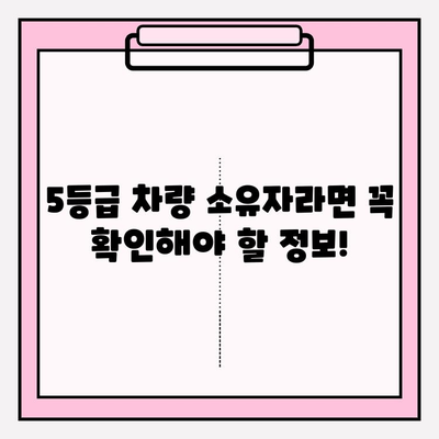 5등급 차량 소유자, 1분 만에 확인하세요! | 자동차 등급 조회, 차량 정보, 소유자 확인