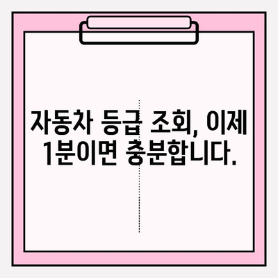 5등급 차량 소유자, 1분 만에 확인하세요! | 자동차 등급 조회, 차량 정보, 소유자 확인