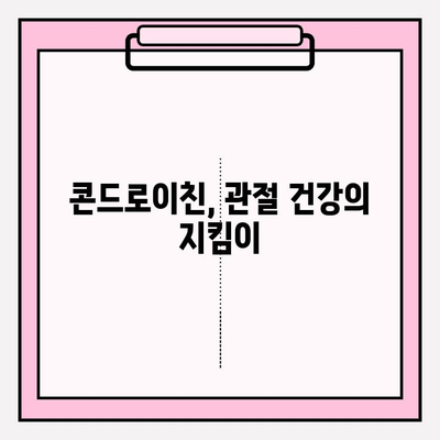 콘드로이친의 건강 효과와 올바른 구매 가이드 | 관절 건강, 연골 건강, 건강식품