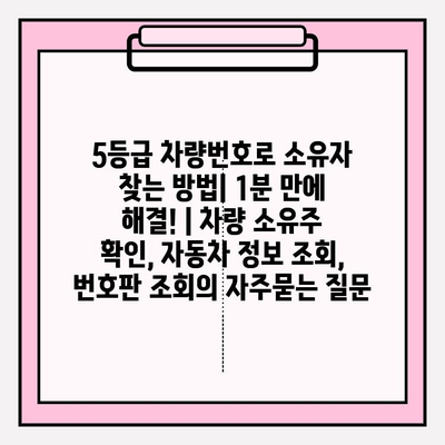 5등급 차량번호로 소유자 찾는 방법| 1분 만에 해결! | 차량 소유주 확인, 자동차 정보 조회, 번호판 조회