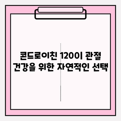 콘드로이친 1200| 자연적인 관절 건강을 위한 선택 | 관절 건강, 연골 건강, 건강 보조 식품