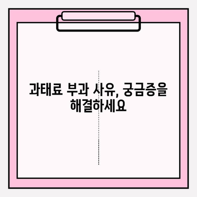 번호판 과태료 확인| 5분 안에 해결하는 간편 가이드 | 과태료 조회, 납부, 위반 사항 확인