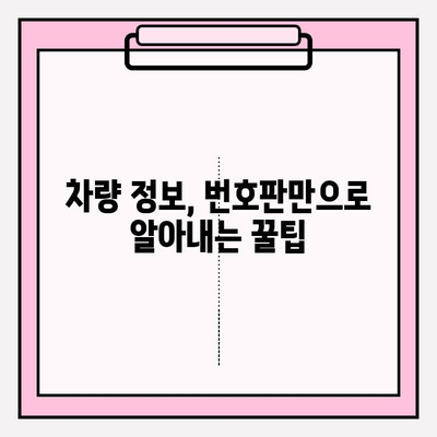 차량번호만으로 차주 정보 확인? 무료로 가능한 방법 알아보기 | 차량 소유주 조회, 차량 정보 확인, 자동차 번호판