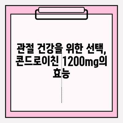 콘드로이친 1200mg 함유 관절 영양제 추천| 효과적인 제품 비교분석 | 관절 건강, 연골, 통증 완화