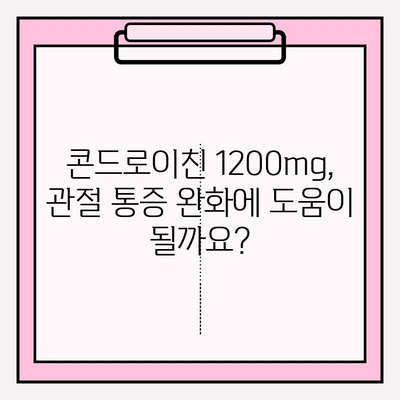 콘드로이친 1200mg 함유 관절 영양제 추천| 효과적인 제품 비교분석 | 관절 건강, 연골, 통증 완화