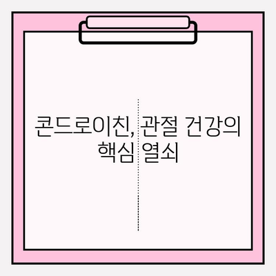 관절 건강 지키는 비밀, 콘드로이친의 놀라운 효능 알아보기 | 관절 통증, 연골 건강, 건강 정보