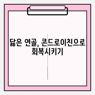 관절 건강 지키는 비밀, 콘드로이친의 놀라운 효능 알아보기 | 관절 통증, 연골 건강, 건강 정보