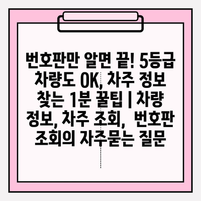 번호판만 알면 끝! 5등급 차량도 OK, 차주 정보 찾는 1분 꿀팁 | 차량 정보, 차주 조회,  번호판 조회