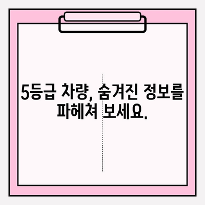 5등급 차량 소유주, 1분 만에 확인하는 꿀팁 | 자동차 정보, 소유주 조회, 5등급 차량