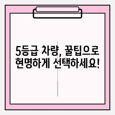 5등급 차량 소유주, 1분 만에 확인하는 꿀팁 | 자동차 정보, 소유주 조회, 5등급 차량