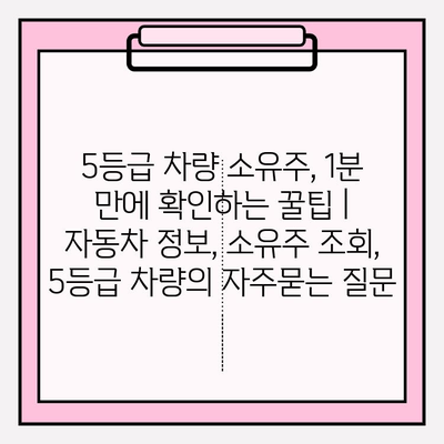 5등급 차량 소유주, 1분 만에 확인하는 꿀팁 | 자동차 정보, 소유주 조회, 5등급 차량